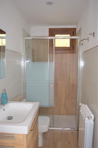 a bathroom with a shower and a toilet and a sink at Anikuenea landa apartamentua in Zaláin