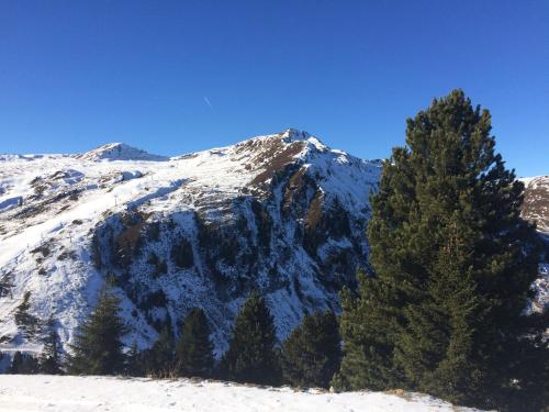 a snow covered mountain with a tree in the foreground at Ferienhaus Nationalpark in Neukirchen am Großvenediger