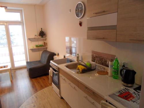 eine Küche mit einer Spüle und einer Arbeitsplatte in der Unterkunft Apartament Kraszewskiego in Krynica-Zdrój