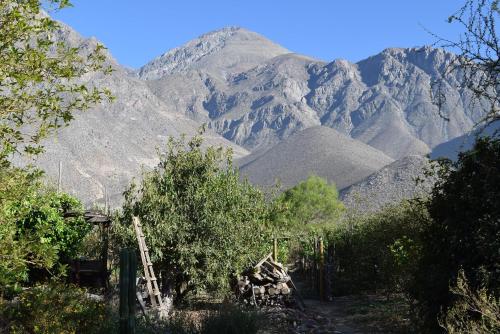 a view of a mountain range with trees and a ladder at Clayhouse Rivadavia in Rivadavia