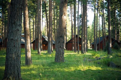a group of wooden huts in a forest with trees at FivePine Lodge in Sisters