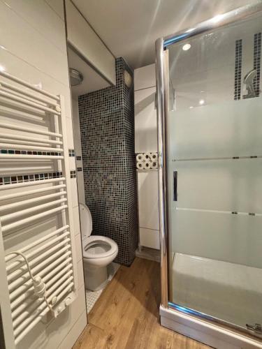 a bathroom with a toilet and a glass shower stall at Central Studio - Port & Lices walkable - Parking in Saint-Tropez