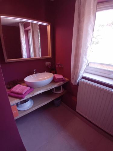 a bathroom with a sink and a mirror at Chez Lola in La-Roche-en-Ardenne