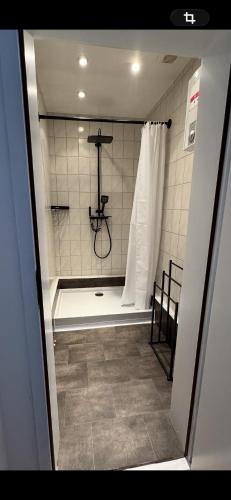 a bathroom with a shower with a shower curtain at Ferienwohnung Mimi in Wernigerode