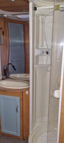a bathroom with a shower and a sink at Peaceful Private Haven in Frongoch