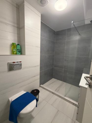 a bathroom with a toilet and a shower at DOCA Apartments 10 in Otopeni