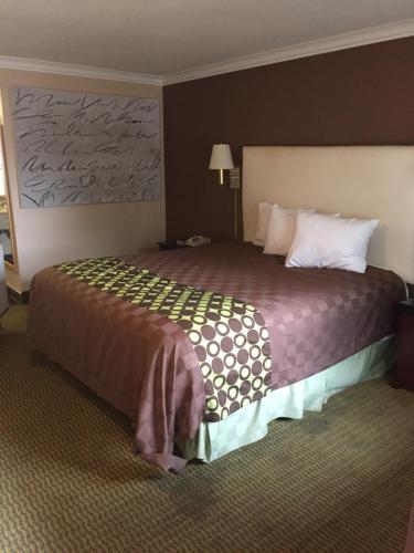 a hotel room with a large bed in a room at American Inn Stockton in Stockton