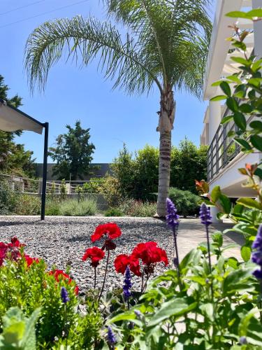 a palm tree and flowers in front of a building at Iloma Villa 6 km from Nafplio in Dhalamanára
