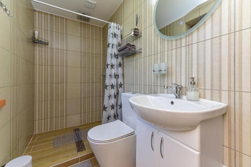 a bathroom with a sink and a toilet and a mirror at VIP forest dreams villa 2 in Leliūnai