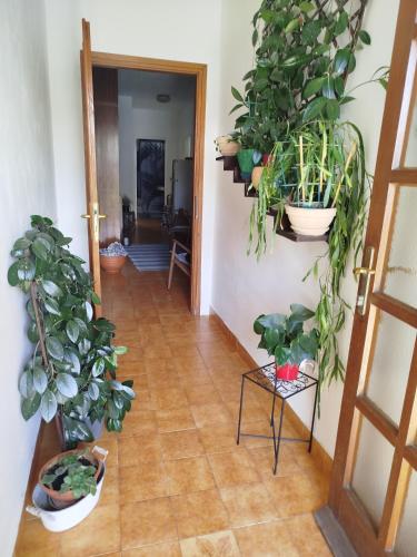 ROOMS LUCE 2 & Supetar