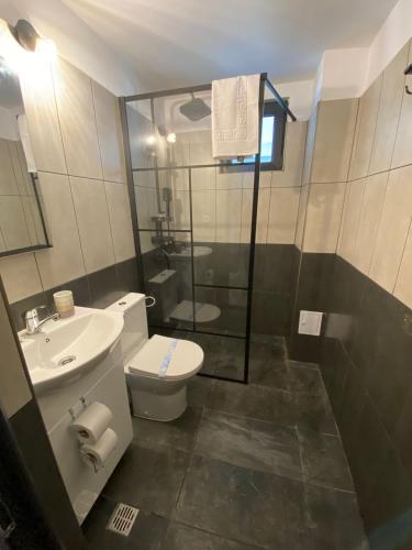 a bathroom with a toilet and a sink and a shower at Vama Stone House in Vama Veche