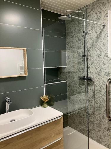 a bathroom with a shower and a sink at Studio Cosy près de la forêt in Saint-Prix