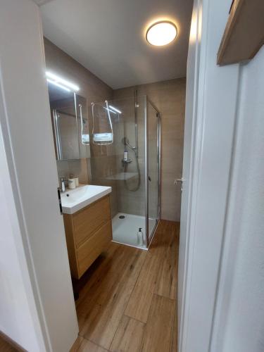 a bathroom with a shower and a sink at Chez Baron in Hauterive