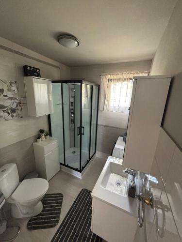 a bathroom with a toilet and a shower and a sink at Apartman SÙŠANJ in Opatija