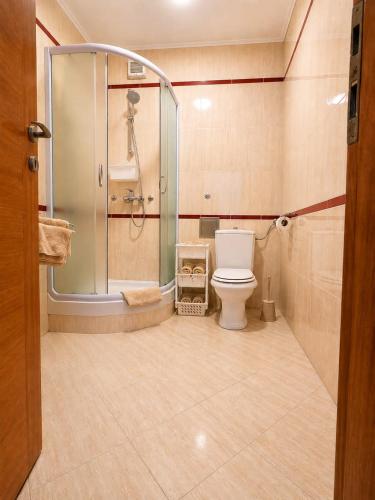 a bathroom with a shower and a toilet at App LOLLY in Selce