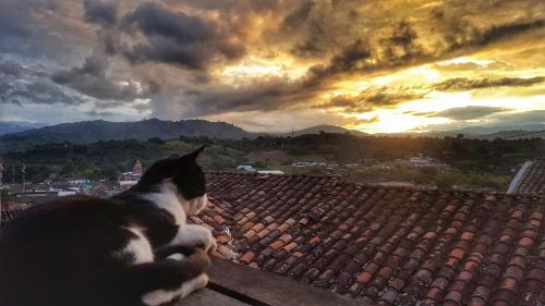 Huéspedes con una o varias mascotas en Hostal Bambu