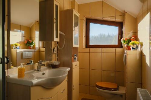 a bathroom with a sink and a toilet and a window at Biosfera Klingeis in Avrig