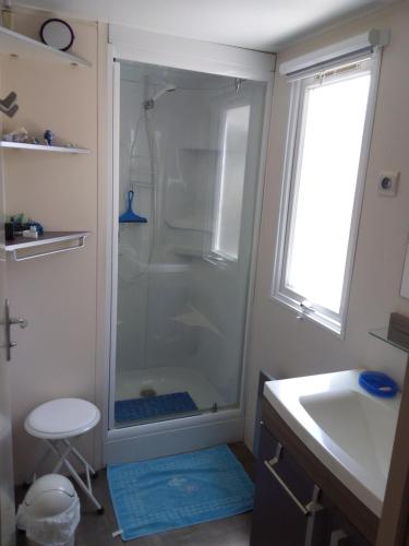 a shower in a bathroom with a sink at Mobil-home DURIS in Hyères