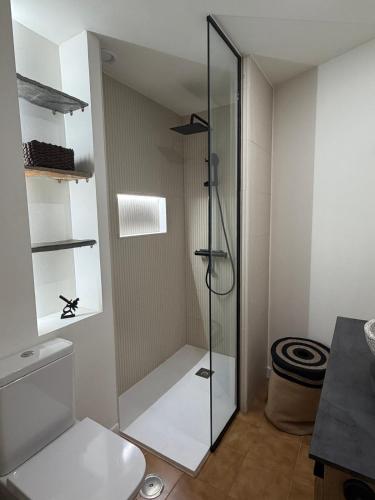 a glass shower in a bathroom with a toilet at Fajana de Trevejo in Garachico