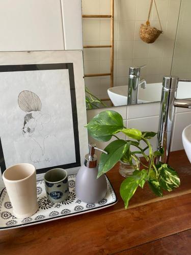 a table with a picture and two cups and a plant at Camera con bagno privato e terrazzo a 10 minuti dalla Stazione Centrale - Oasis Bologna Centro in Bologna