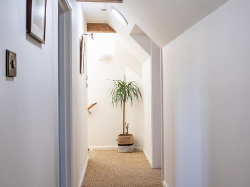 a hallway with white walls and a potted plant at Mallard Cottage in Winchester