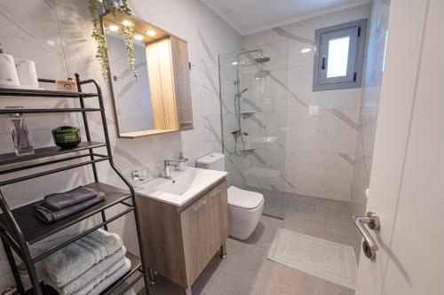 a bathroom with a shower and a sink and a toilet at Villa Yvonni in Poros