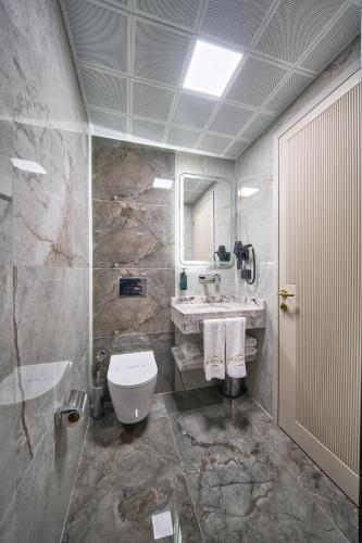 a bathroom with a toilet and a sink and a mirror at Elysia Hotel in Istanbul