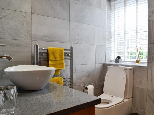 a bathroom with a white sink and a toilet at Sgubor Llwyndu in Bettws