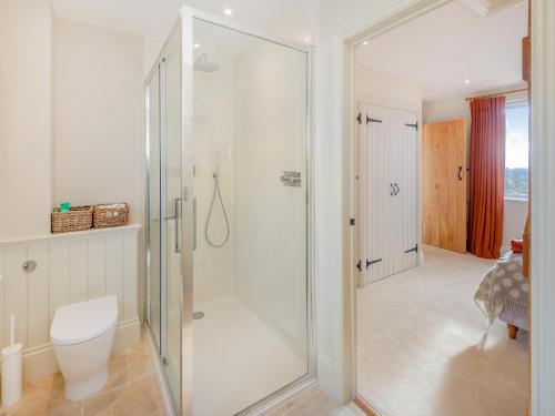 a bathroom with a shower and a toilet at Windover Barn in Horsham