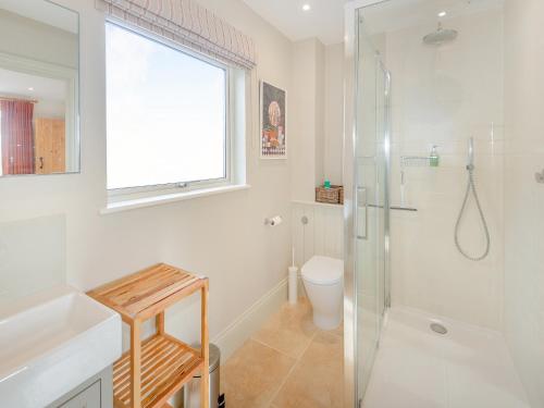 a bathroom with a shower and a toilet and a window at Windover Barn in Horsham