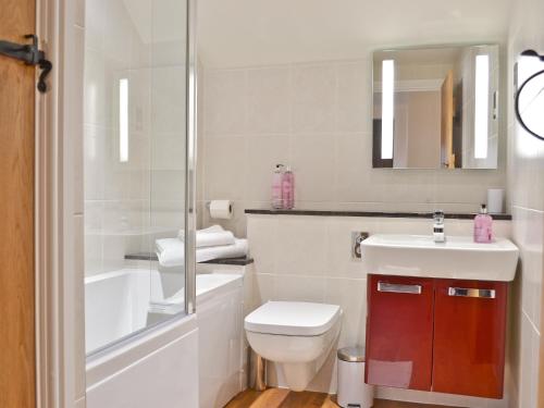 a bathroom with a toilet and a sink and a shower at The Bothy in Bradworthy