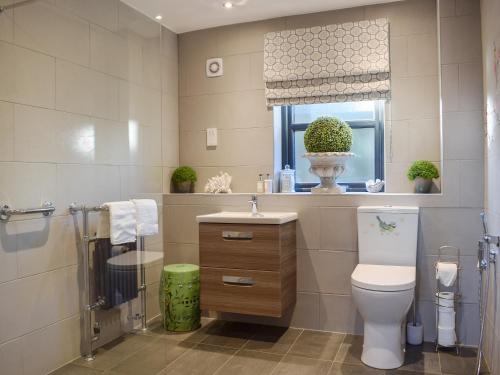a bathroom with a toilet and a sink and a window at The Old Stables in Glasgow