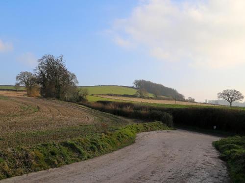 a dirt road in the middle of a field at Grapevine Cottage in Stocklinch