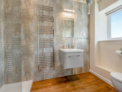 a bathroom with a toilet and a sink and a mirror at Old Barn 1 - Uk48477 in Ferndown