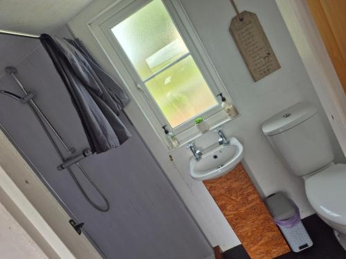 a small bathroom with a toilet and a sink at The Paddock at Pioneer Billys in Camborne