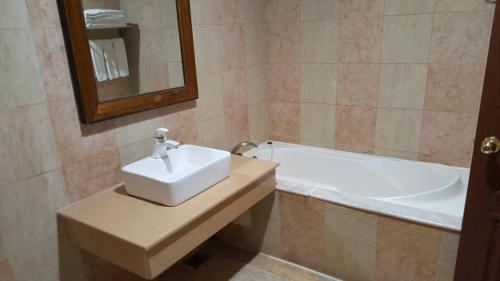 a bathroom with a sink and a bath tub at 雲林斗六御花園汽車旅館 in Douliu