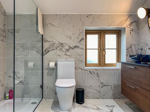 a bathroom with a toilet and a shower at Quabbs Head Cottage in Mathon