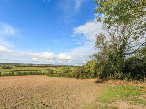 a field with a tree and a dirt road at Old Hall Cottage No 1 in Byers Green