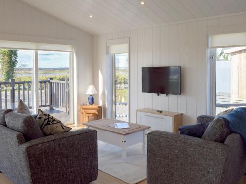 a living room with two chairs and a flat screen tv at Willow Lodge - Uk13637 in Creetown