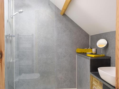 a bathroom with a shower and a sink at Cwm Hyfryd in Llanboidy