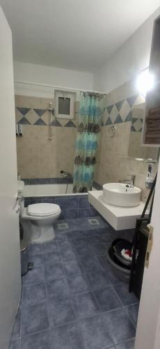 a bathroom with a toilet and a sink at Aleka Apartment in Kos