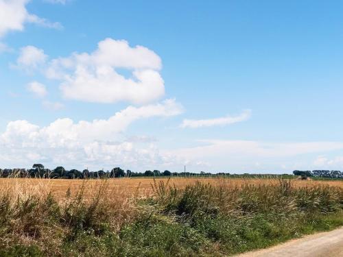 a field next to a dirt road with a sky at The Dairy - Uk48866 in Aylsham