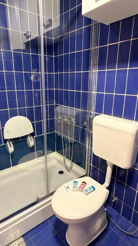 a blue tiled bathroom with a toilet and a shower at Baklava in Sarajevo