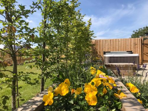 a garden with yellow flowers and a tree at White Swan Cottage - Ukc4640 in Dunholme