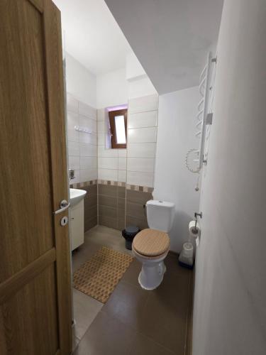 a bathroom with a toilet and a sink at Vidra Parc in Voineasa
