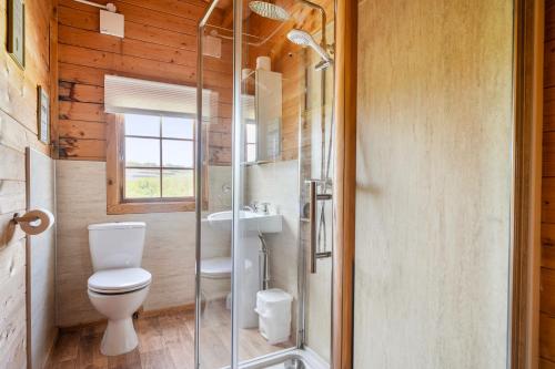 a bathroom with a toilet and a glass shower at Moor View Cabin (Oak Tree Lane) in Okehampton