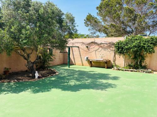 a cat sitting in the middle of a green lawn at Villa Turquoise Formentera in San Ferrán de ses Roques