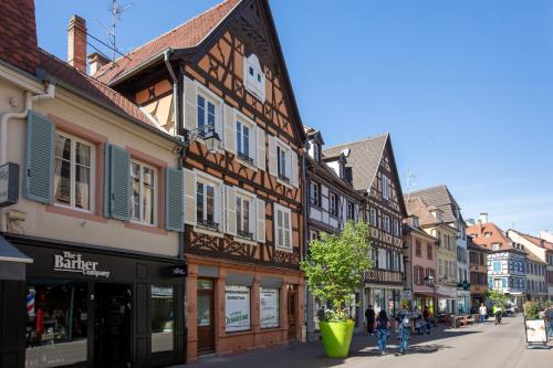 Newly renovated apartment - historical center