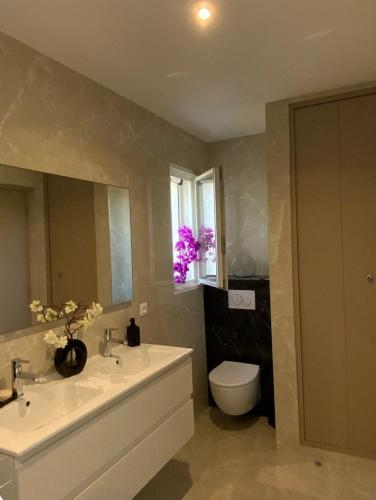 a bathroom with a sink and a toilet and a mirror at Villa ste Catherine in Porto-Vecchio