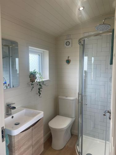 a bathroom with a toilet and a sink and a shower at Hillhouse Coastal Escapes - PODs in Donegal